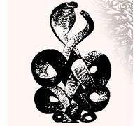 Bardo Pond - Volume 4 & 5 [Vinilo]