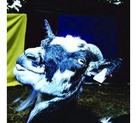 Barely Autumn - Day Trip to the Petting Zoo/Vinyle Couleur 180gr [Vinilo]