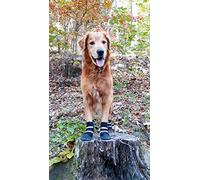 Bark Brite Todas Las Botas De Perro Protector De Neopreno Resistente A La Pata con Straps- Reflectante (LG (3,5 Pulg.)) Viajan Estuche De Cremallera Incluido