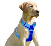 BARKBAY Arnés antitirones con clip frontal para perro, resistente, reflectante, asa de fácil control para pasear perros grandes (azul zafiro y azul, S)