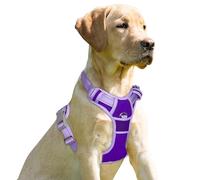 BARKBAY Arnés antitirones con clip frontal para perro, resistente, reflectante, asa de fácil control para pasear perros grandes (violeta morado y morado, L)