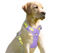 BARKBAY Arnés antitirones con clip frontal para perro, resistente, reflectante, asa de fácil control para pasear perros grandes (violeta morado y luz solar, XS)