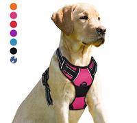 BARKBAY Arnés antitirones con Clip Frontal para Perros, Material Resistente y Reflectante, asa de fácil Control para pasear Perros Grandes (Rosa, L)