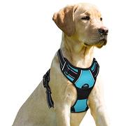 BARKBAY Arnés antitirones con Clip Frontal para Perros, Material Resistente y Reflectante, asa de fácil Control para pasear Perros Grandes (Azul, L)