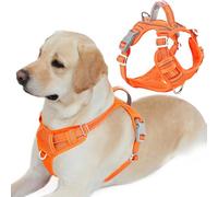 BARKBAY Arnés antitirones con Clip Frontal para Perros, Material Resistente y Reflectante, asa de fácil Control para pasear Perros Grandes, con Bolsillo para Etiqueta de identificación (Naranja, L)