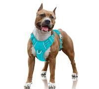 BARKBAY Arnés para Perro Clip Frontal y asa de fácil Control para Caminar, Entrenar, Correr con Bolsillo para Etiqueta de identificación