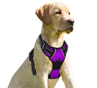 BARKBAY Arnés para Perro, sin tirones, Ajustable, para Exteriores, Chaleco Reflectante 3M de Material Oxford para Perros, fácil Control para Perros pequeños, medianos y Grandes (Morado, XL)
