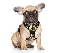BARKBAY Arnés para perro sin tirones, arnés reflectante para perro con clip frontal y mango de fácil control para caminar, entrenamiento y correr (camuflaje del desierto, S)