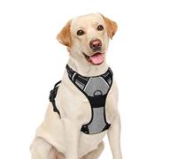 BARKBAY Arnés para Perro sin tirones, Clip Frontal, Resistente, Reflectante, Mango de fácil Control para pasear Perros Grandes (Gris pedernal, L)