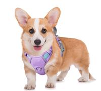 BARKBAY Arnés para perro sin tirones, reflectante grande con clip frontal y asa de fácil control para caminar, entrenamiento, correr, con bolsillo para etiqueta de identificación (cielo lavanda, M)