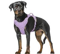 BARKBAY Arnés para Perro sin tirones, Reflectante Grande con Clip Frontal y asa de fácil Control para Caminar, Entrenamiento, Correr, con Bolsillo para Etiqueta de identificación (Morado Violeta,