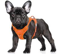 BARKBAY Arnés para Perro sin tirones, Reflectante Grande con Clip Frontal y asa de fácil Control para Caminar, Entrenamiento, Correr, con Bolsillo para Etiqueta de identificación (Naranja, S)