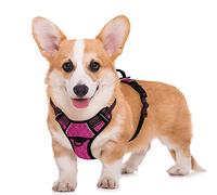 BARKBAY Arnés para Perro sin tirones, Reflectante Grande con Clip Frontal y asa de fácil Control para Caminar, Entrenamiento, Correr, con Bolsillo para Etiqueta de identificación (Rosa/Negro, M)