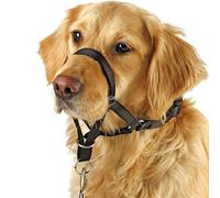Barkless Collar de Cabeza de Perro, Herramienta de Entrenamiento sin tirones para Perros en Paseos, Incluye guía de Entrenamiento Gratuita, 5 (S, Negro)