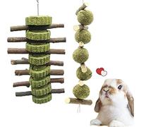 Barley Ears Juguete Masticable para los Molares para Conejito, 2 Piezas Juguete de Dientes de Molienda Bolas de Heno de Timothy y Palitos de Madera de Manzano para Hámster Chinchilla Cobayas