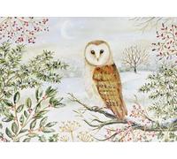 Barn Owl in Winter Deluxe Boxed Holiday Cards (20 cards, 21 self-sealing envelopes)