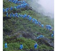 Barnett, Courtney - End of the Day (Music From the film Anonymous Club) [Vinilo]