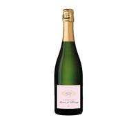 Baron de Villeboerg Champagne Rosé AOC Côte des Bar 75 cl - Cuvée 90% Pinot Noir / 10% Chardonnay - Burbuja fina, aromas de frutos rojos - Ideal aperitivos, mariscos, celebraciones.