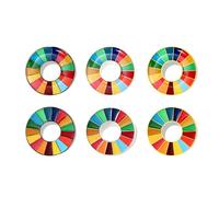 BaronHong Broche de objetivos de desarrollo sostenible, insignia de los ODS de las Naciones Unidas, pin de solapa arcoíris, decoración de pin esmaltado, Medium, Acero inoxidable