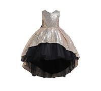 BaronHong vestido de tutú de tul con lentejuelas y encaje floral para niña