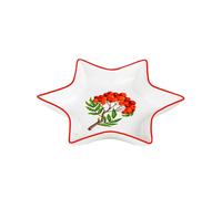 Baroni Home Accesorios de mesa de porcelana decorada, fantasías bayas rojas, servicio de mesa cuatro estaciones o Navidad, 20 x 35 x 5 cm, cuenco con forma de estrella