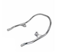 Barra De Agarre para Pasajero para Kawasaki para Z650RS 2021-2025 Asidero Lateral Trasero(Silver)