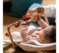 Barra de Juguetes para Hamaca Mira de UPPAbaby Camel