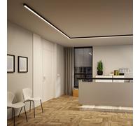 Barra de luz Paulmann Linion, negra, 1 m, transformador maestro ZigBee