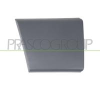 Barra Protectora para Puerta Delantera Derecha, Color Negro