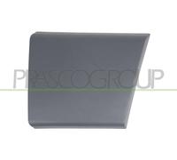 Barra Protectora para Puerta Delantera Izquierda Negra
