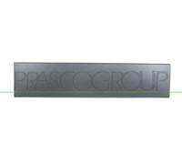 Barra Protectora para Puerta Trasera Derecha Gris Oscuro