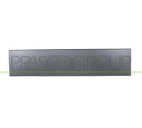 Barra Protectora para Puerta Trasera Izquierda Gris Oscuro