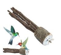 Barras de madera para pájaros | Plataforma de pajaros | Woods Stand Fork Toys | Rama de madera de la papa para periquitos, conures, periquitos, cockatiel, jaulas, accesorios para entrenamiento de
