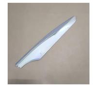 Barras De Techo Cubierta para Portaequipajes De Coche, Embellecedor Barra Equipaje, Carcasa Extremo Riel para Ford para Escape para Kuga MK3 2013-2019 Techo Portaequipajes(Abajo a la Derecha)