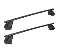 Barras de Techo de Acero RIC-K1 Pro para Nissan NV 200 a Partir de 2009 con Techo sin barandilla, fijación Fix Point - homologado TUV-GS