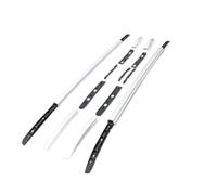 Barras Techo Coche para Mitsubishi para Outlander 2016-2019 6 unids/Set portaequipajes rieles de Techo(Plata)