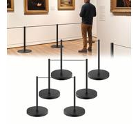 Barreras de seguridad de acero inoxidable para galerías de arte - Postes de control de multitudes con cuerda elástica, para exposiciones, galerías y ferias comerciales (6 unidades)(Black)