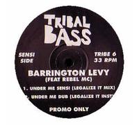 Barrington Levy Feat Rebel MC / Under Me Sensi