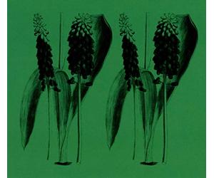 Barrott, Mark - Nature Sounds Of The Balearics