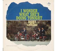 Barry & the Tamerlanes - I Wonder What She's Doing Tonight