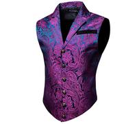 Barry.Wang Chaleco victoriano para hombre, estilo steampunk, gótico, cachemira, cuello a medida, chaleco para fiesta temática de Halloween, Púrpura, azul, Large