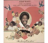 Barry White Love Unlimited Orchestra - The Best Of Our Love [LP]