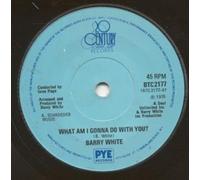 BARRY WHITE - WHAT AM I GONNA DO WITH YOU 7 INCH (7" VINYL 45) UK 20TH CENTURY 1975