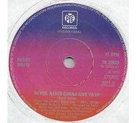 Barry White - White, Barry Never Never Gonna Give Ya Up 7" Pye 7N25633 EX 1973