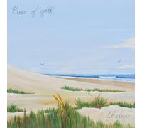 Bars Of Gold SHELTERS (Vinyl) (Importación USA)