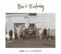 Bart Budwig Another Burn On the Astroturf (CD) Album (Importación USA)