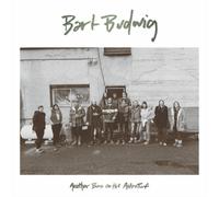 Bart Budwig Another Burn On the Astroturf (Vinyl) 12" Album