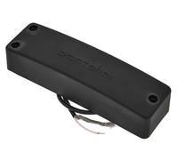 Bartolini 5-String RT Soapbar Bass Neck