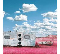 Barton Think – My Last Album – Vinilo 12" (Importación USA)