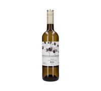 Basa Blanco 2019 Rueda